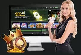 bet 3666 গোপনীয়তা নীতি ও তথ্য সুরক্ষার প্রতিশ্রুতি
